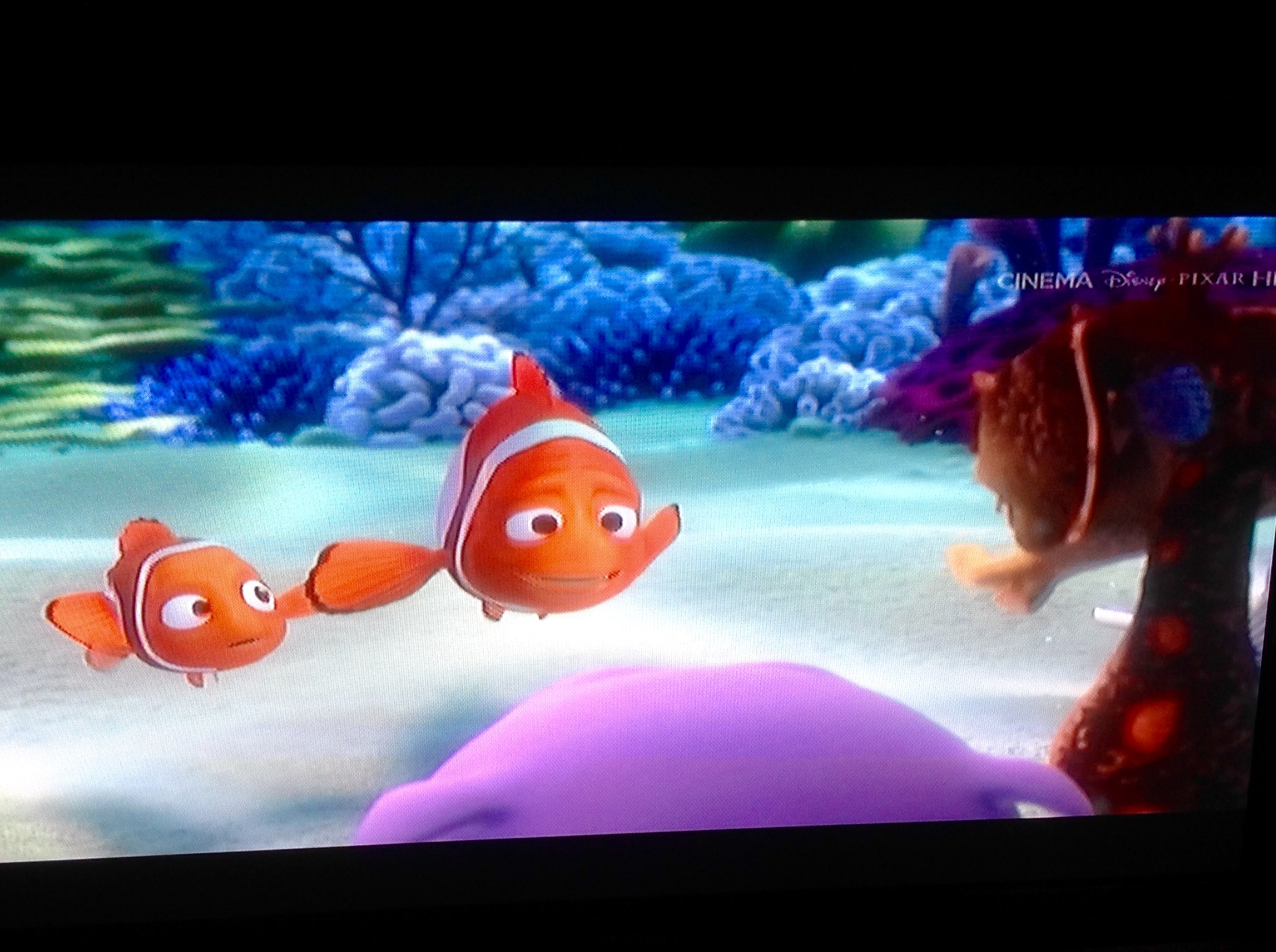 Il pesciolino Nemo con il suo papà (dal film Alla ricerca di Nemo).