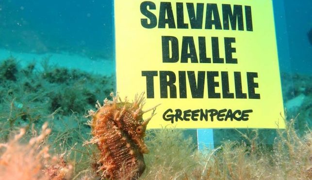 12 artisti con Greenpeace per il sì al referendum