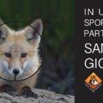 Milano vieta le foto della campagna Lav #bastasparare contro la caccia