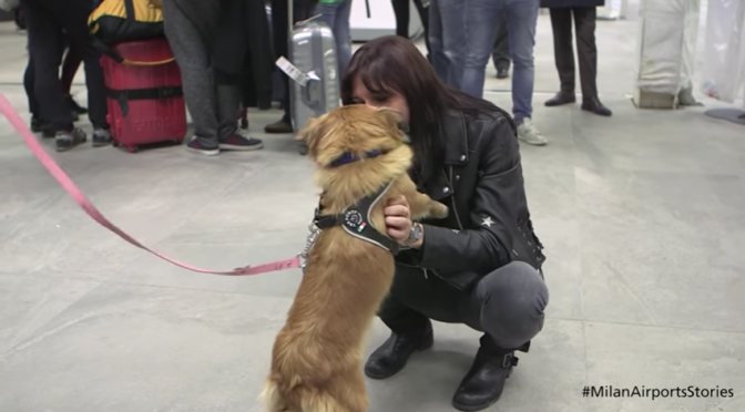 Alba, dalla Romania in Italia grazie a Save the dogs