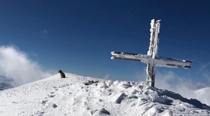 Storia di Messner, il cagnolino “delle nevi”